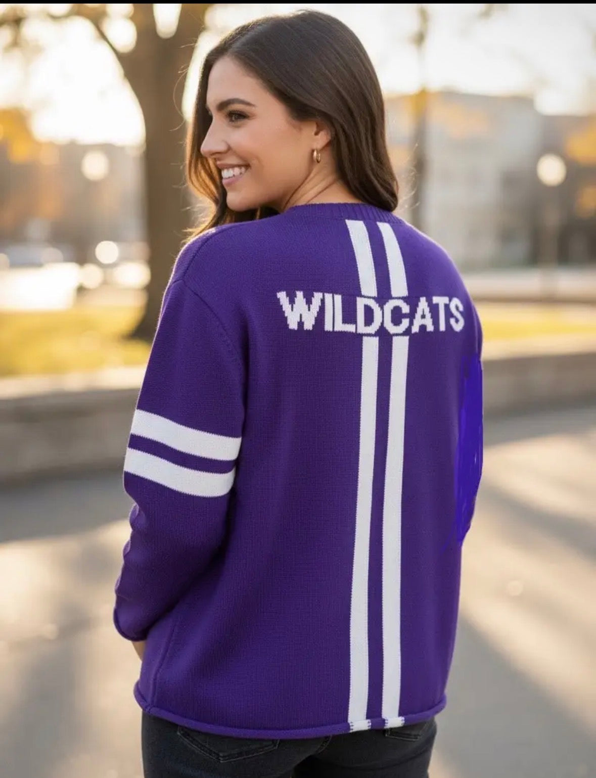 Northwestern University Long Sleeve - Purple Design